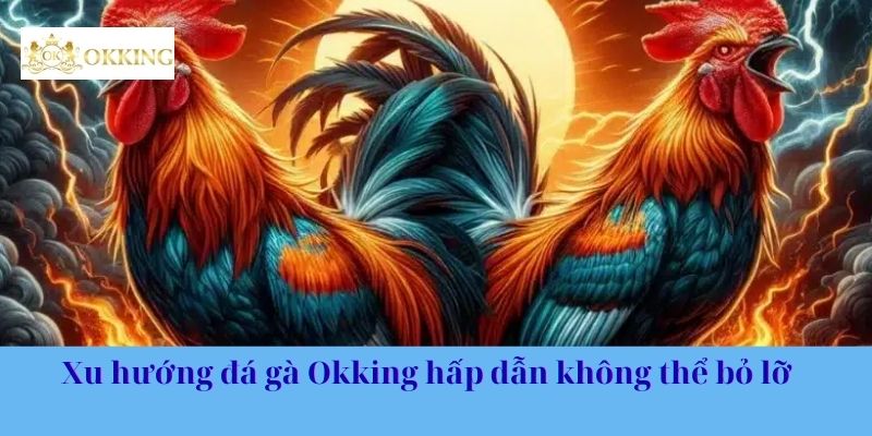 Xu hướng đá gà Okking hấp dẫn không thể bỏ lỡ